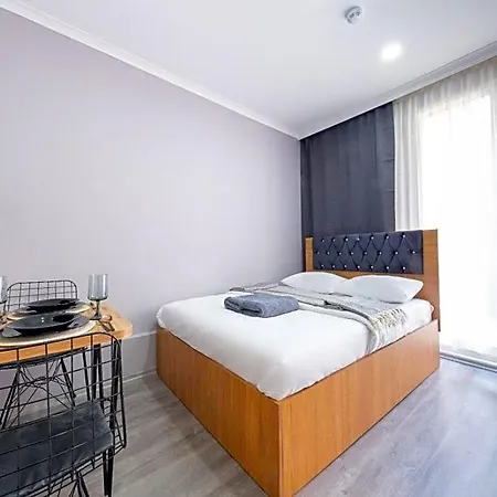 Hayat Eski Sehir Hotel Provincia di Istanbul